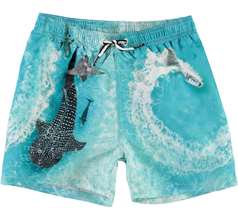 Niko Swimwear